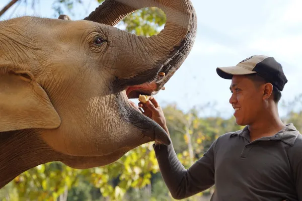 大象心灵之旅（全天）