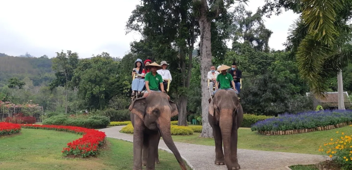 Elephant Riding Around The Flower Garden