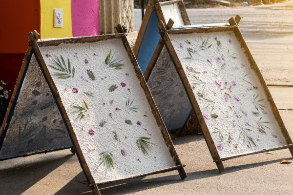 半天天然Saa纸制作体验