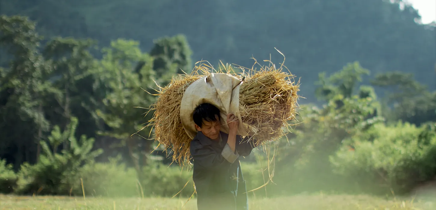 Eco Bungalow - Field Work