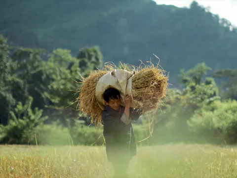 Eco Bungalow - Field Work