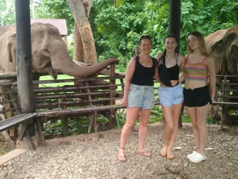 Highlights of a 2-Day Elephant Whisperer Experience