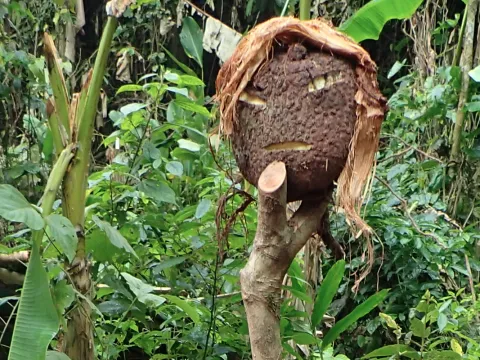 Wild Thrill Trails Camping & Homestay