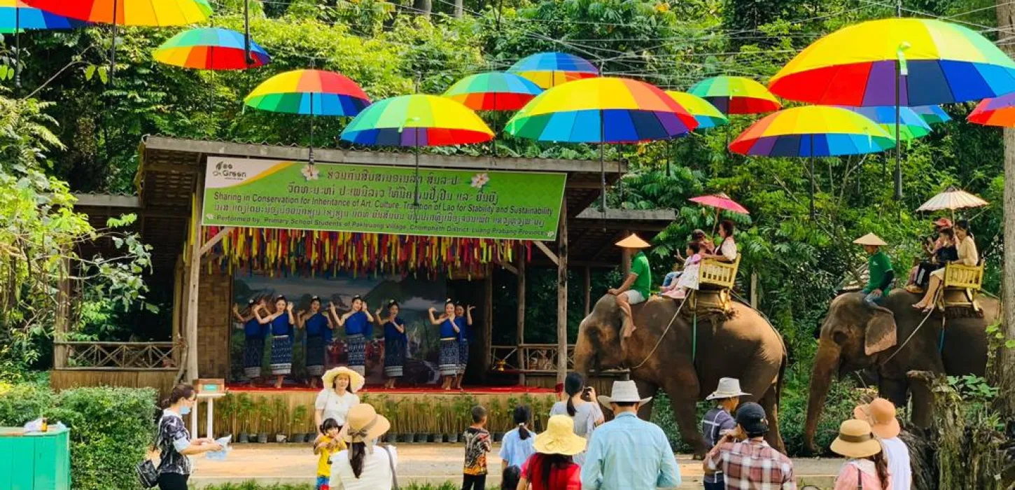 Elephant Riding in the Camp