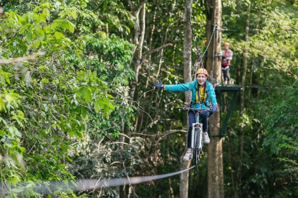 Amazing Tree Top 16 Missions at Nam Kat Yorla Pa
