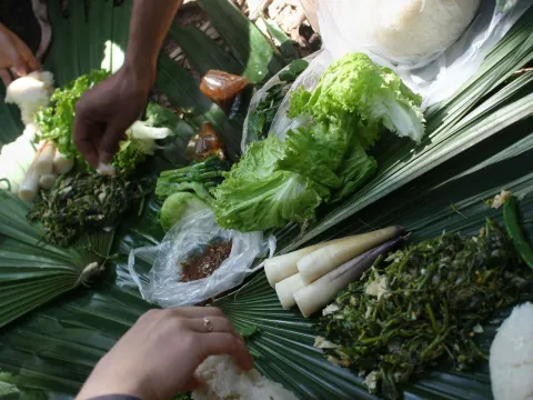 Nam Ha National Protected Area Safari