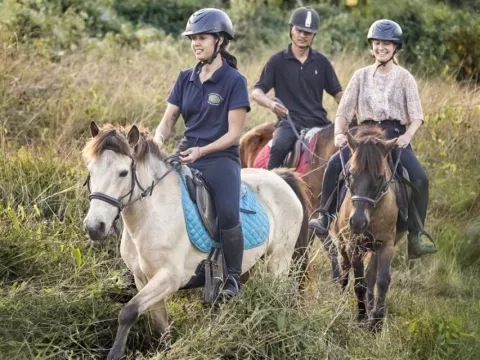 2-Hour Pony Ride: Rivers, Forest, Bamboo & Weaving Villages, and Temple