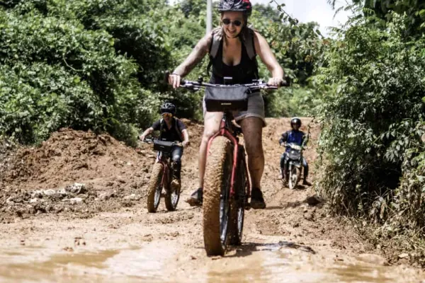 Half-Day Thrill: E-Mountain Biking (Beginner) & Elephant Experience