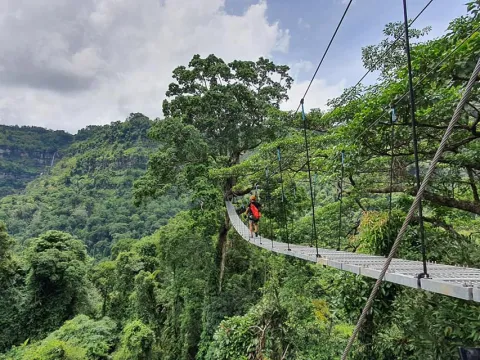 樹頂探險者（3天/2夜），包括寮國航空來回機票優惠。