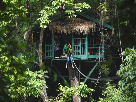 Resort Car Tour, Trekking, Rock Climbing, Zip Lining, Tree House