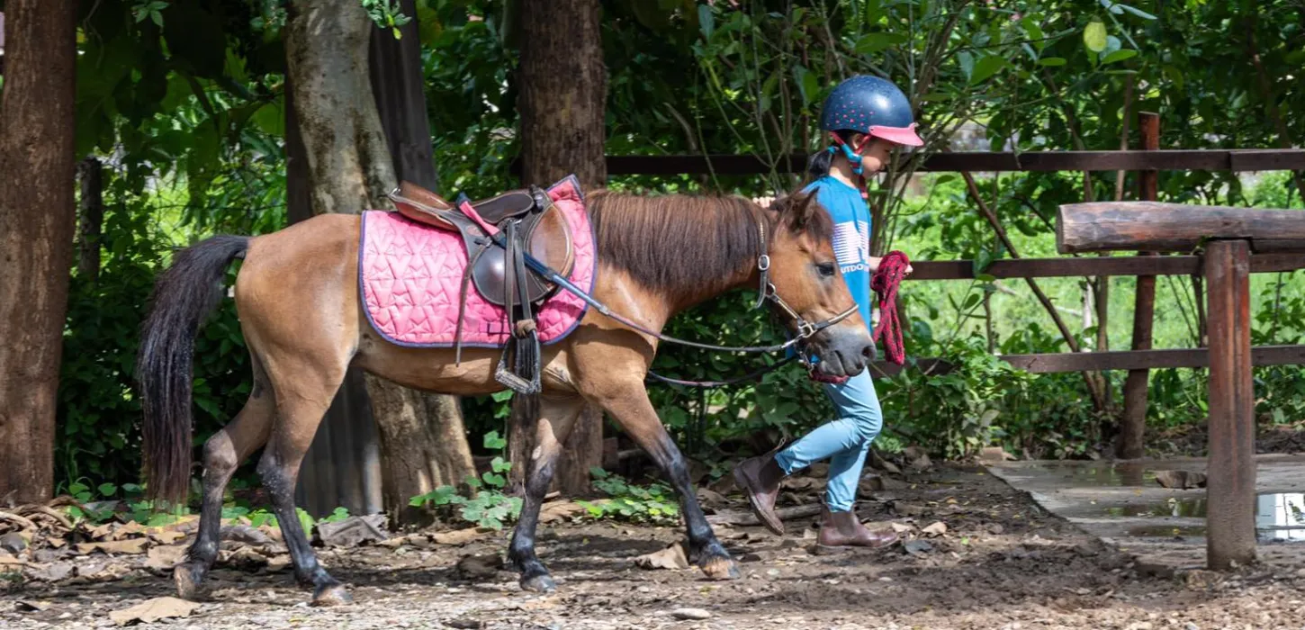 1-Hour Pony Ride Through Village and Forest
