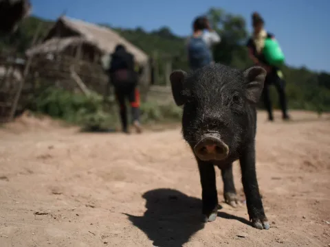 Exploring Remote Ethnic Lands