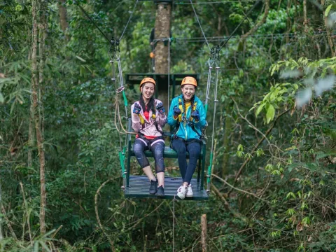 2 Hours Amazing Tree Top 16 Missions