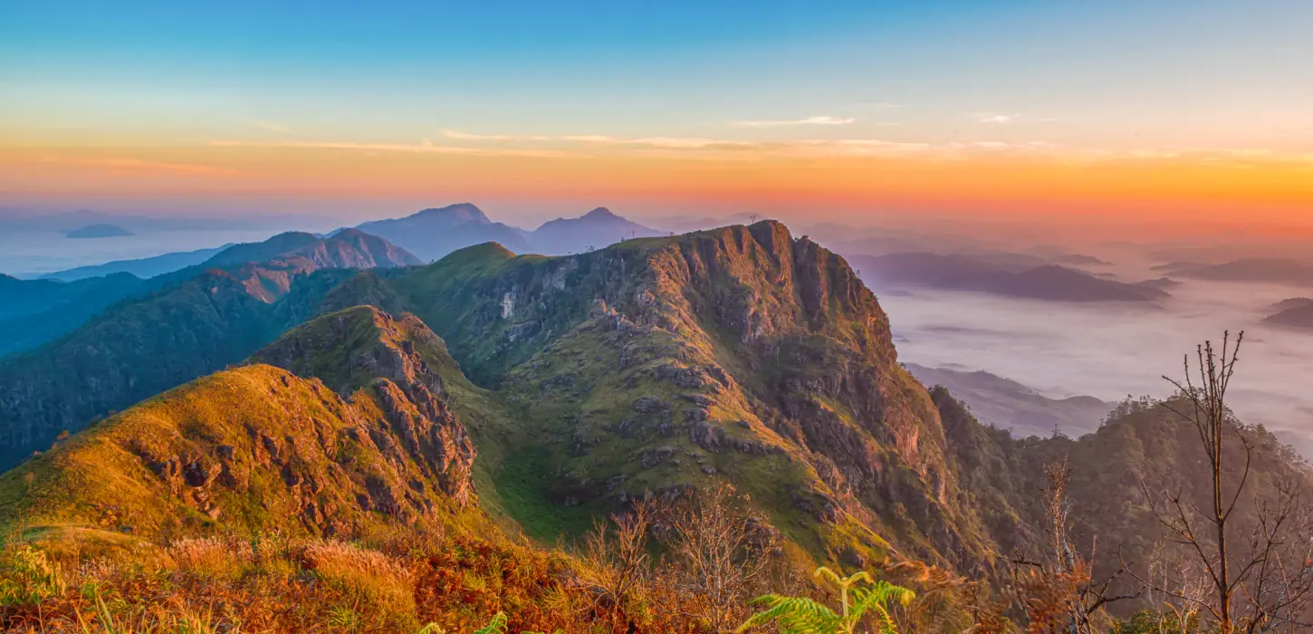 ຍ່າງປ່າ, ຕັ້ງແຄ້ມຢູ່ພູຫຍ້າຄາ ແລະ ພູຜາຫີນ
