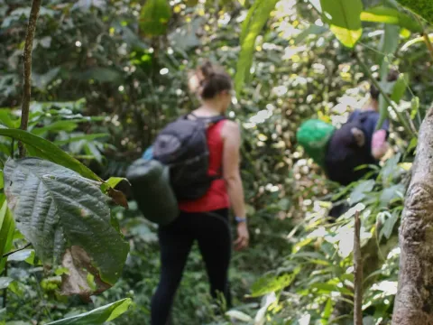 Nam Ha Rainforest Trek