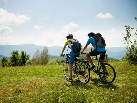 Half-Day Luang Prabang Cycling Tour - Past, Present & Future