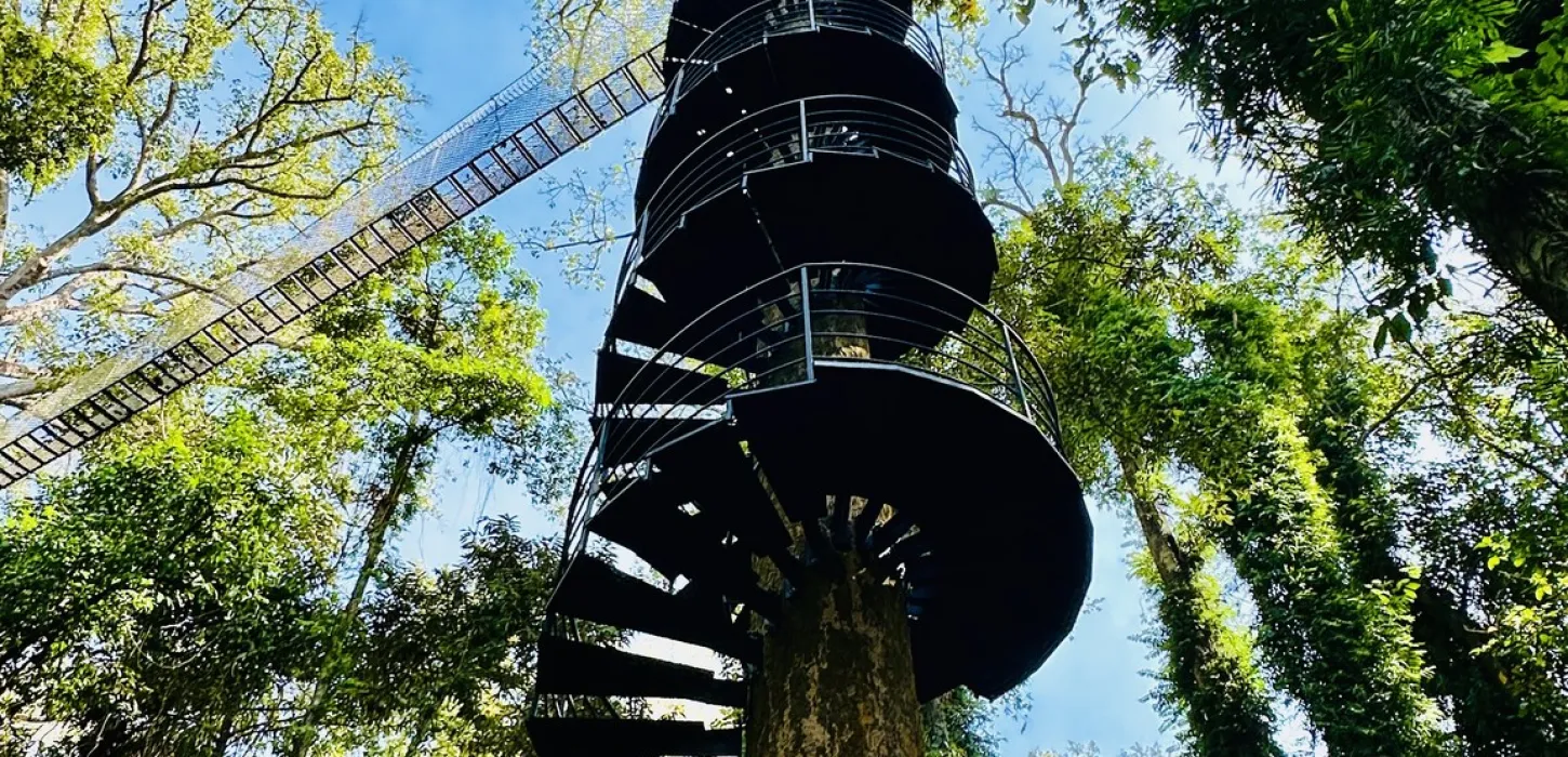 Canopy Walkways & Zipline Adventure at La Forêt Vientiane