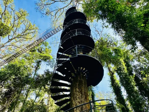 Canopy Walkways & Zipline Adventure at La Forêt Vientiane